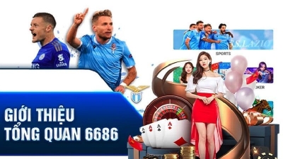 6686 - Khám phá những điều thú vị xoay quanh nền tảng cá cược uy tín