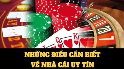 Vnbet - Nơi gửi gắm niềm tin của người chơi cá cược